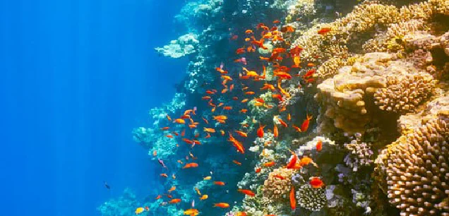 Hurghada